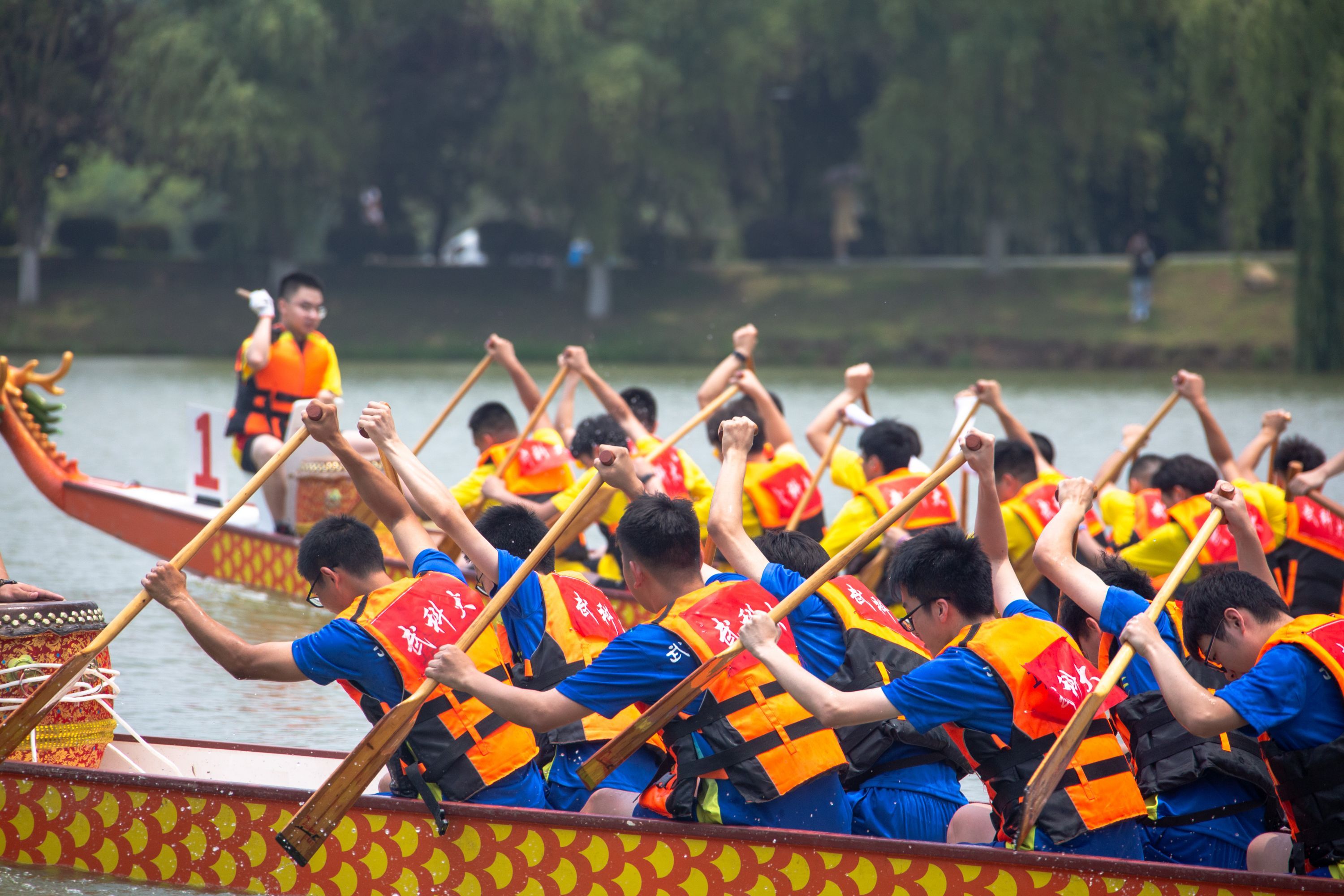 赛龙舟迎端午大学生同舟同心挥浆斩浪