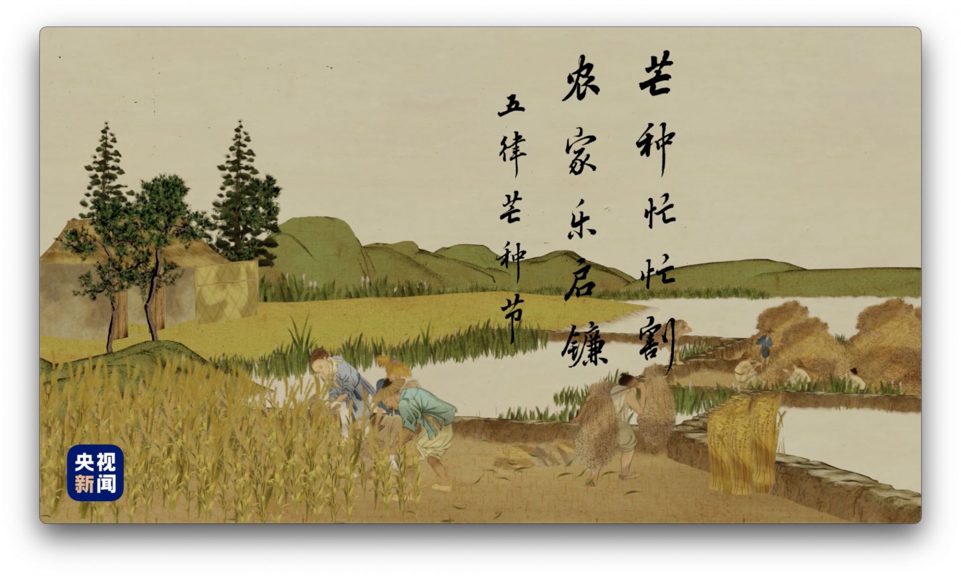 农谚如"芒种忙,忙着种""芒种忙,下晚秧""芒种不种,再种无用""芒种插秧