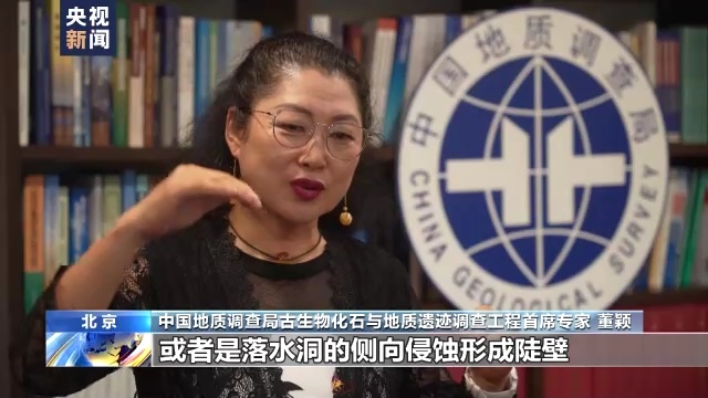 中国地质调查局古生物化石与地质遗迹调查工程首席专家 董颖:它一定是