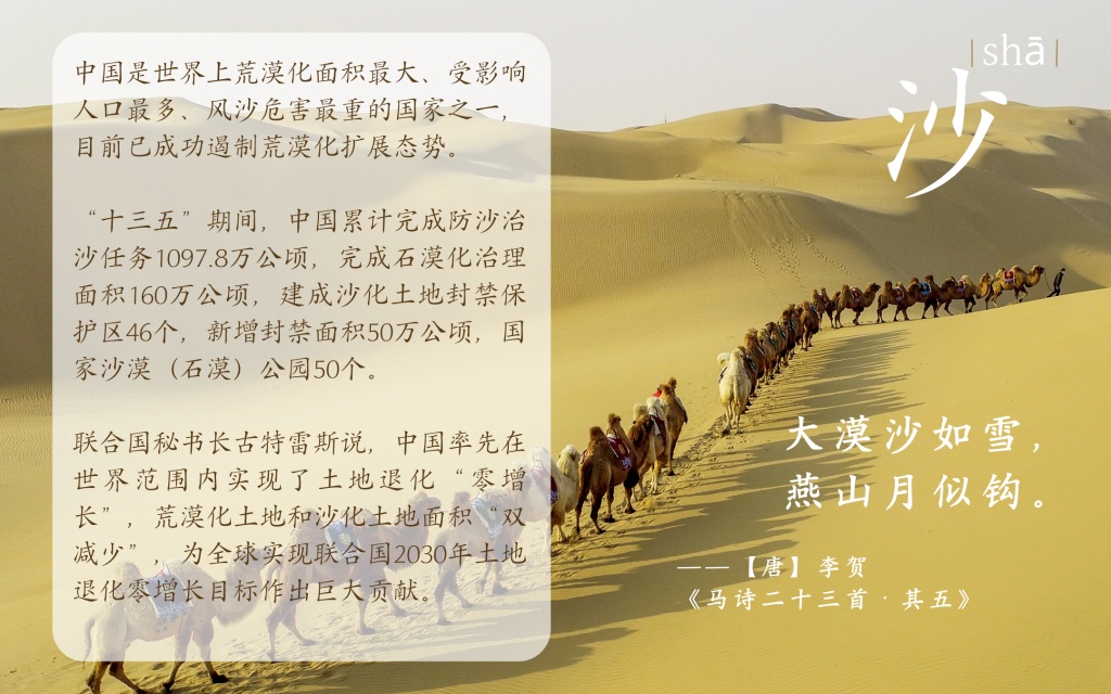 中国这十年丨十年踪迹十年心一起来看这份生态答卷