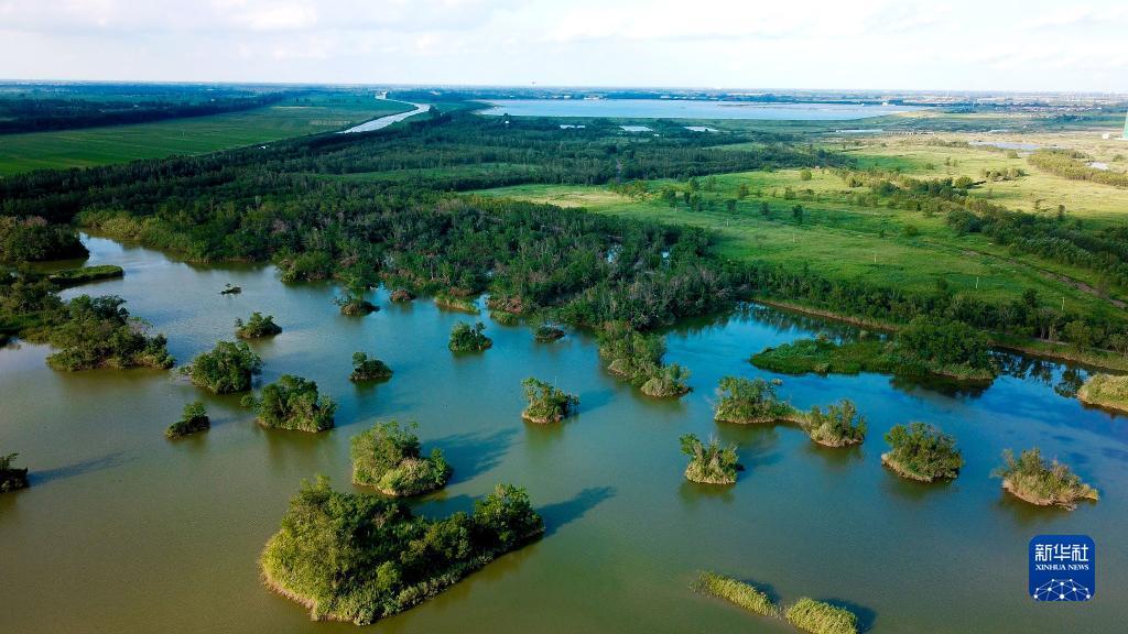 马颊河国家湿地公园图片