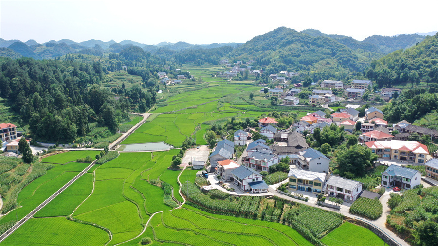 在希望的田野上航拍贵州花茂村乡村振兴绘新卷