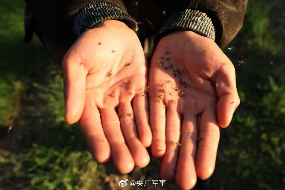 这让人鸡皮疙瘩掉一地的30秒是他们的日常