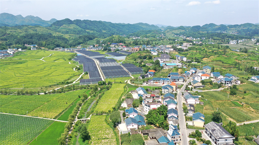 在希望的田野上航拍贵州花茂村乡村振兴绘新卷