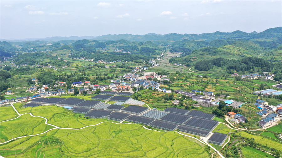 新华网 周远钢 摄花茂村位于贵州遵义市播州区枫香镇,原名"荒茅田,意