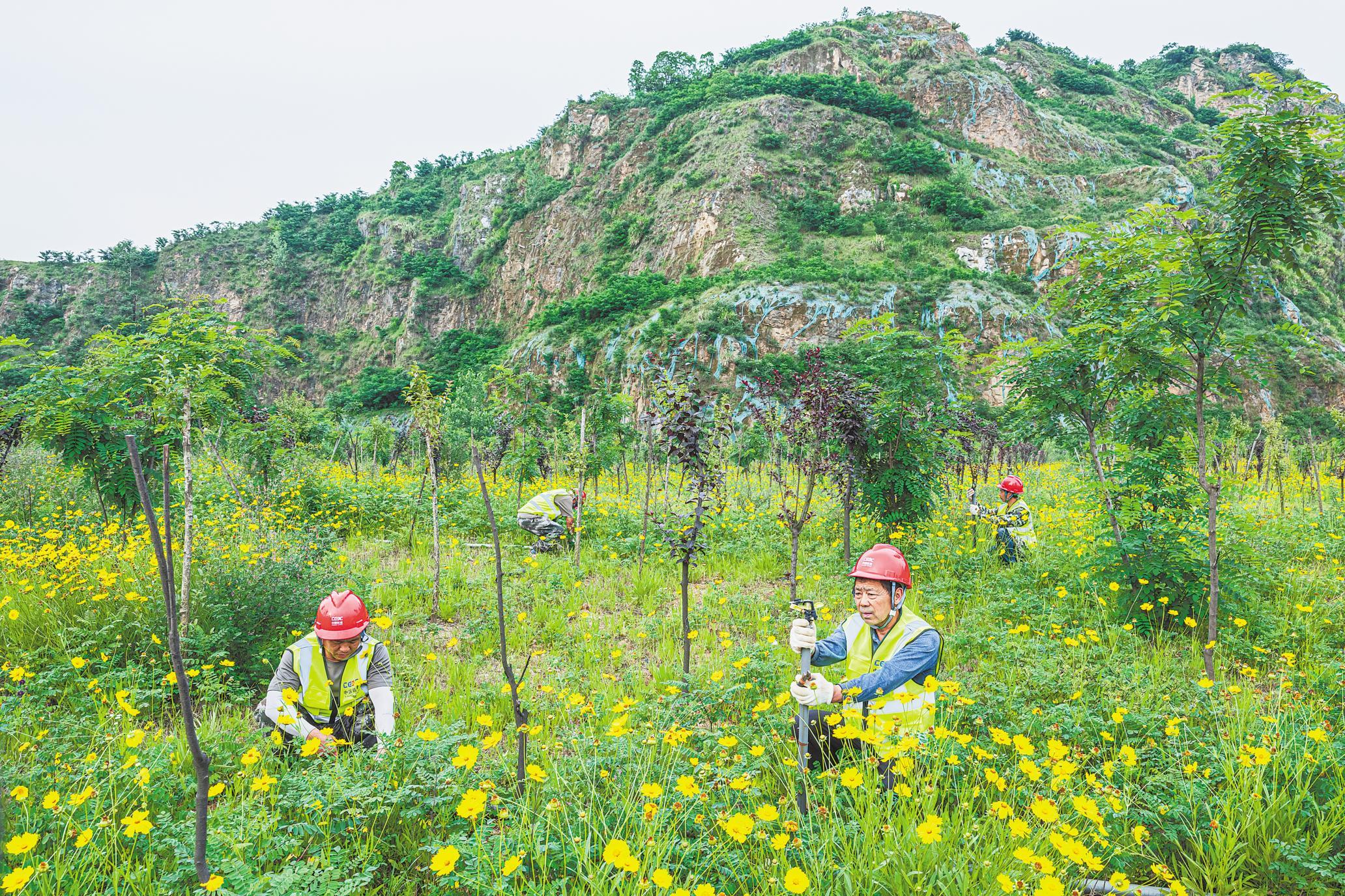 岩石上种出一片葱绿湖北沿江废弃矿山修复掠影