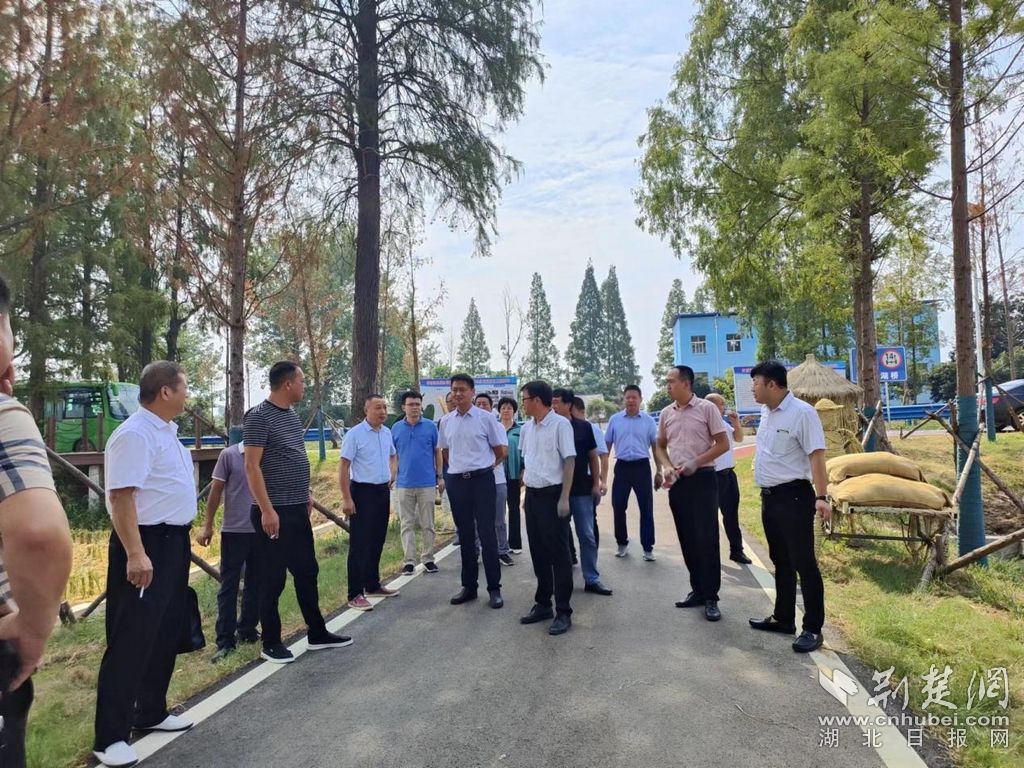 书记论坛架起朱湖与祝站交流学习桥梁