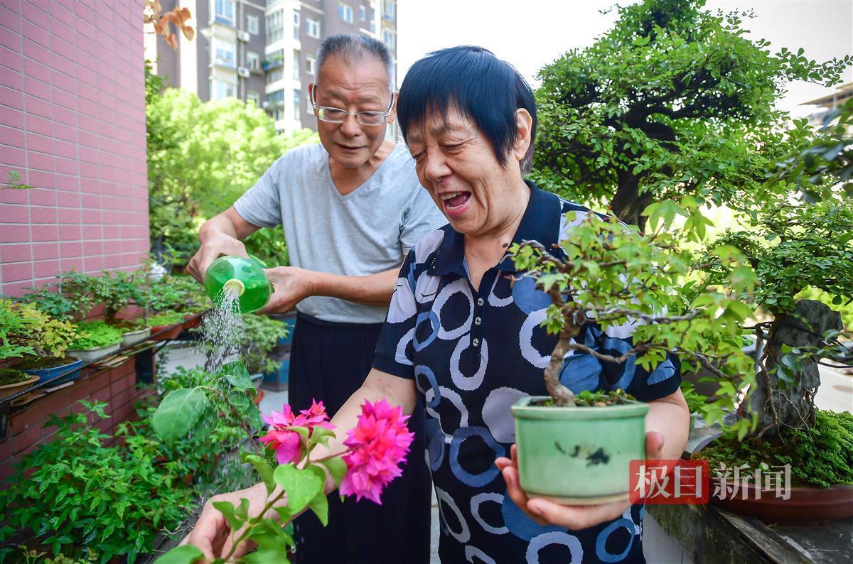 养花论坛