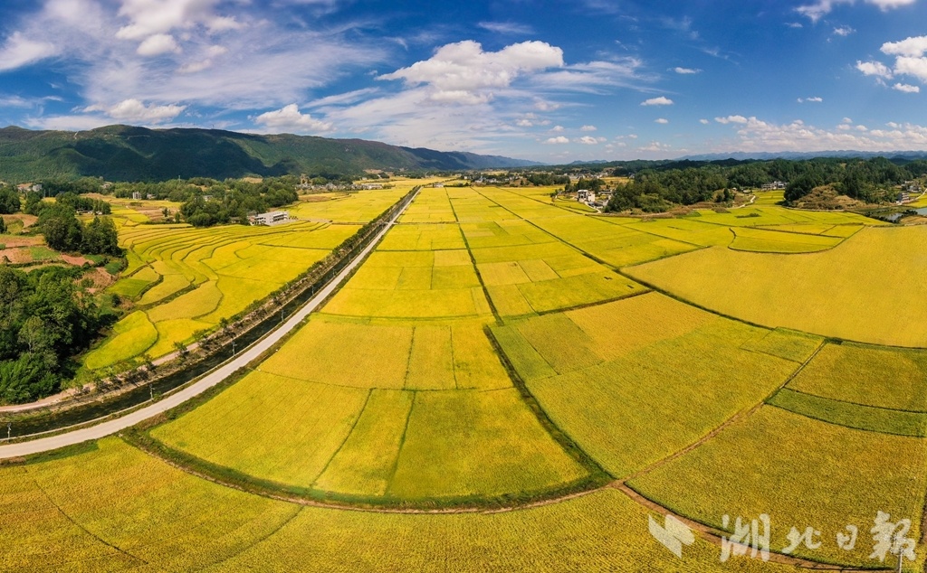 图组南坪金秋如诗如画
