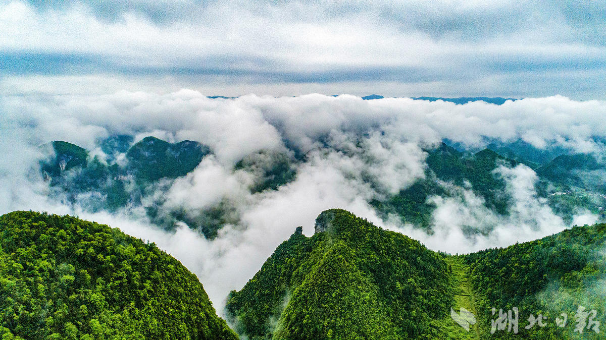 这里,被誉为利川的"可可西里"……-荆楚网-湖北日报网