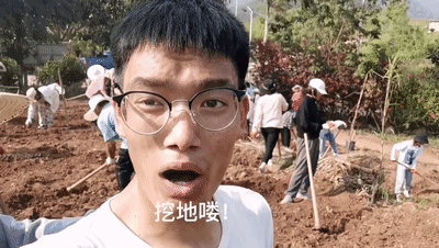 清华劳动课喊话云南农大丁同学!他这样回应-荆楚网-湖北日报网
