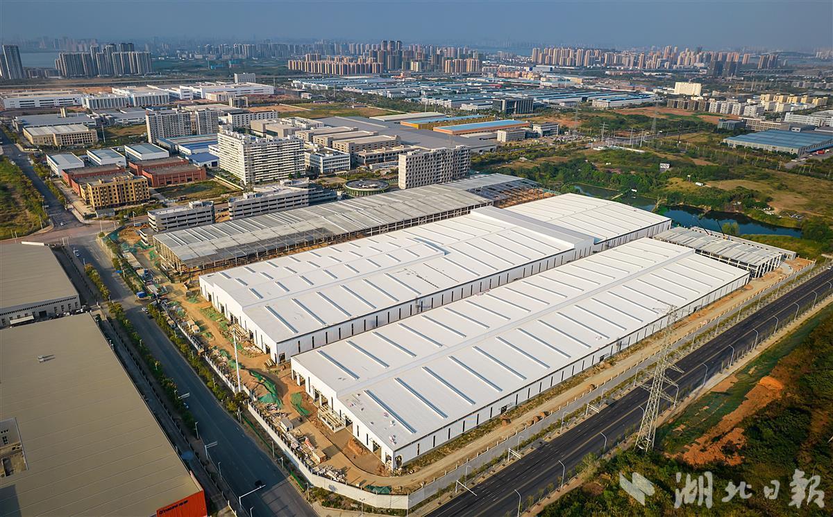 武汉金盘智能科技绿色产业园封顶