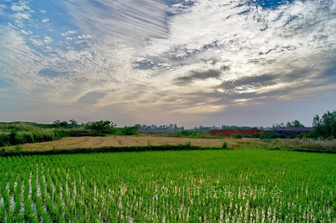 《田园》周冰厚  摄《擎天一柱》李跃成  摄《黎明》冯志高  摄《争艳