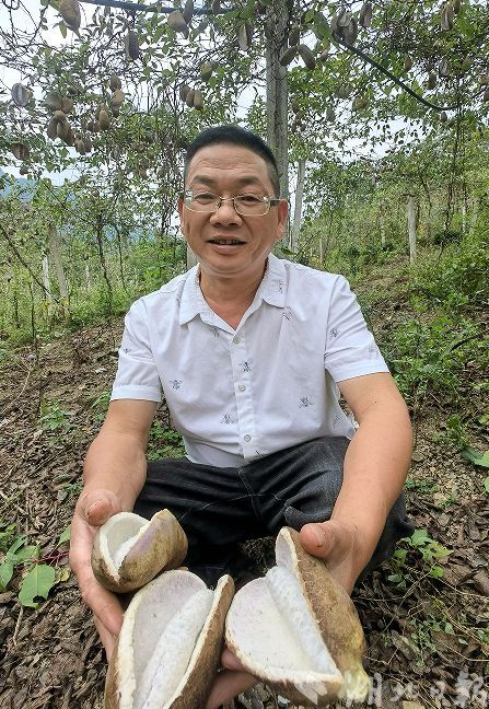 吃瓜群众集合啦!恩施市屯堡乡杨家山八月瓜“炸”了-荆楚网-湖北日报网