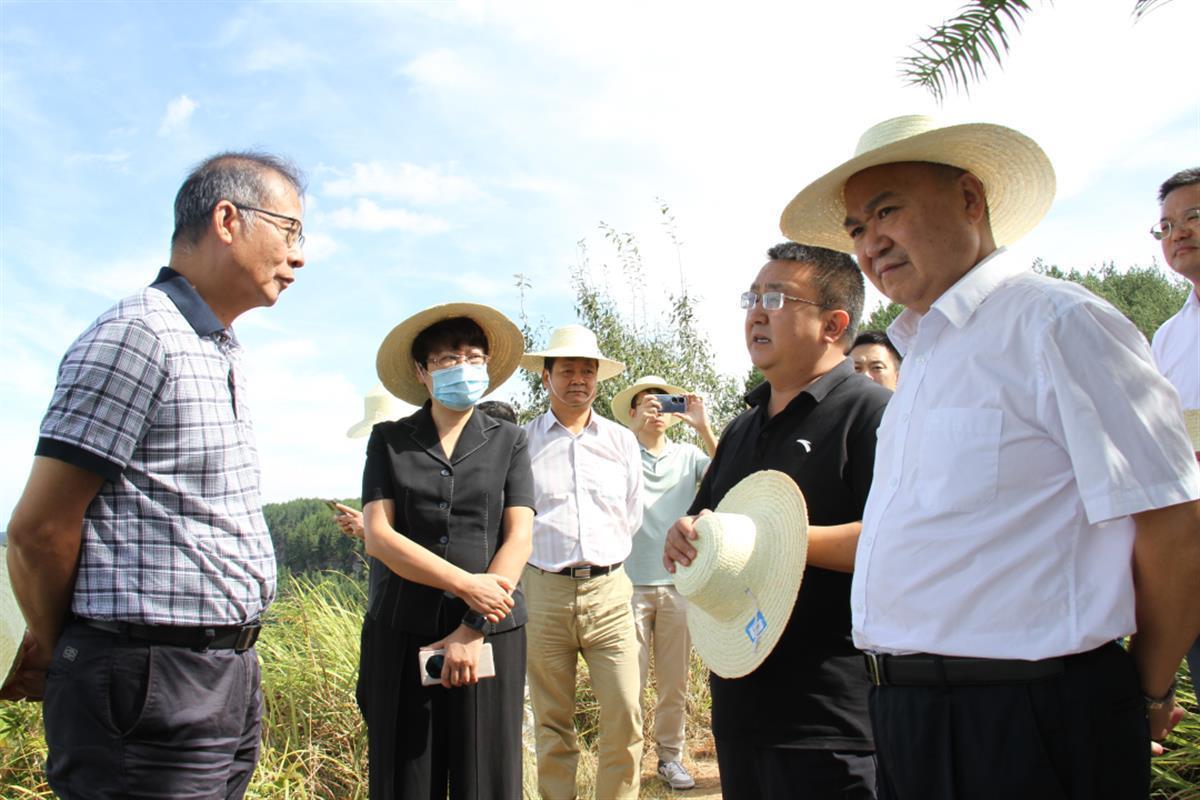 宜昌夷陵区乐天溪镇路溪坪村,秭归县水田坝乡上坝村,下坝村,归州镇