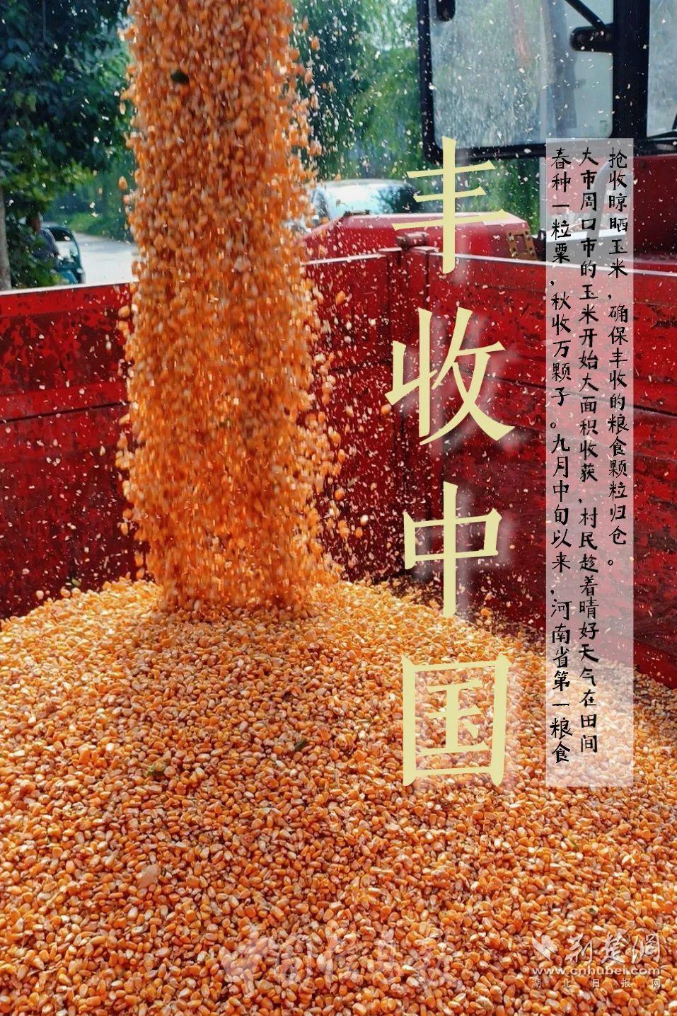 丰收中国海报来了统计人带您领略祖国好丰景庆丰收迎盛会