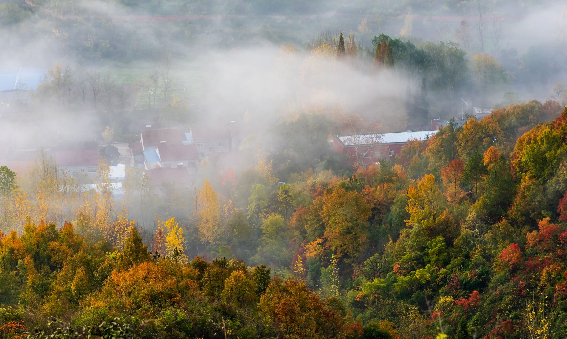 南漳冬日云雾绘秋景