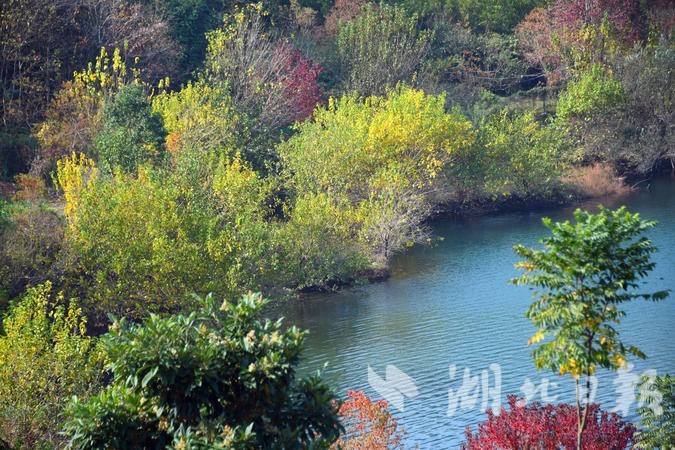 宣恩双龙湖:湖光山色 湿地如画-荆楚网-湖北日报网