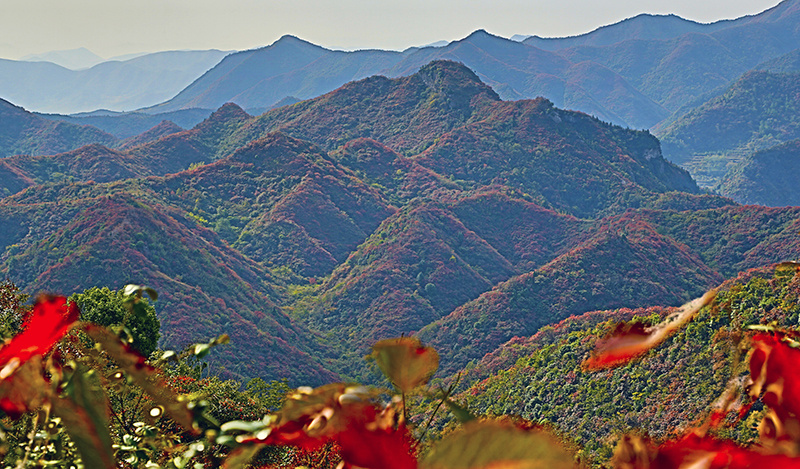 谷城茨河风景区图片