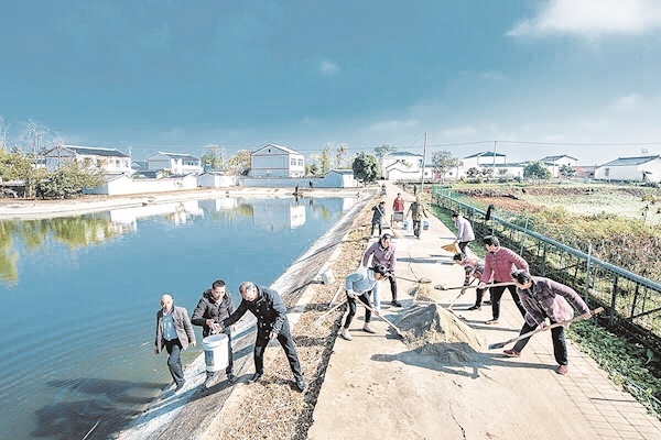 枣阳市舂陵村：村头路灯亮 村民心气足-荆楚网-湖北日报网