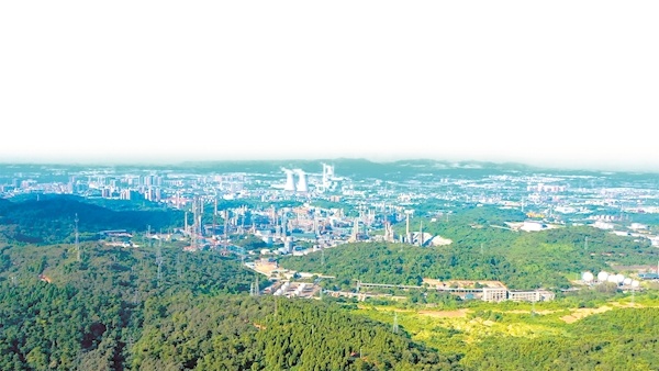 统筹防疫与发展顶压前行显担当荆门高新区掇刀区三年跨越三大步