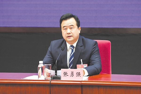 武汉都市圈建设张勇强培育产业美化家园