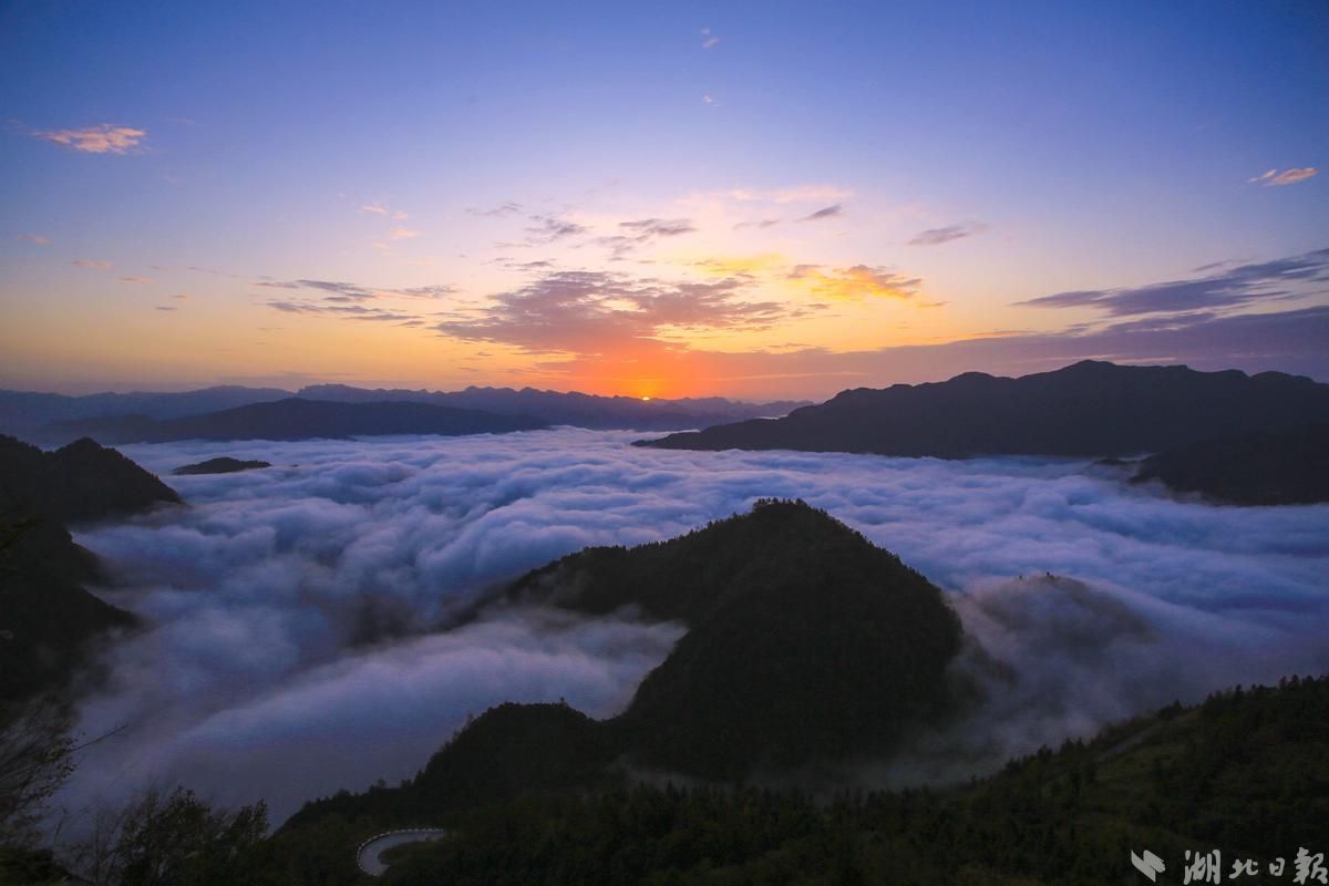 鹤峰 朝霞伴云海 大山日出美若仙境