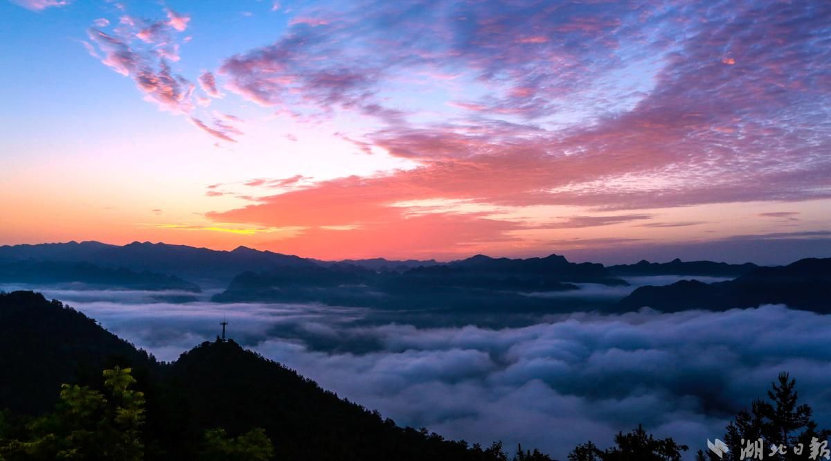 鹤峰 朝霞伴云海 大山日出美若仙境