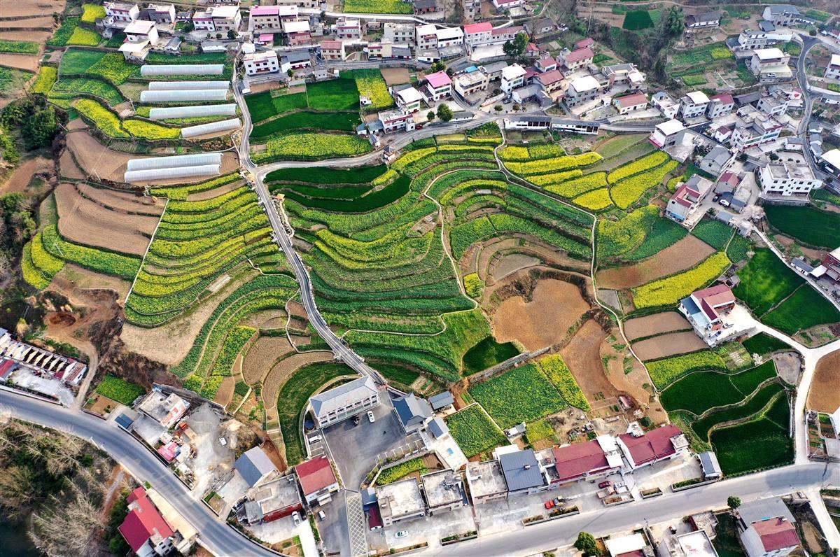 3月7日,湖北省襄阳市保康县寺坪镇台子包村色彩斑斓,宛如调色板,美景