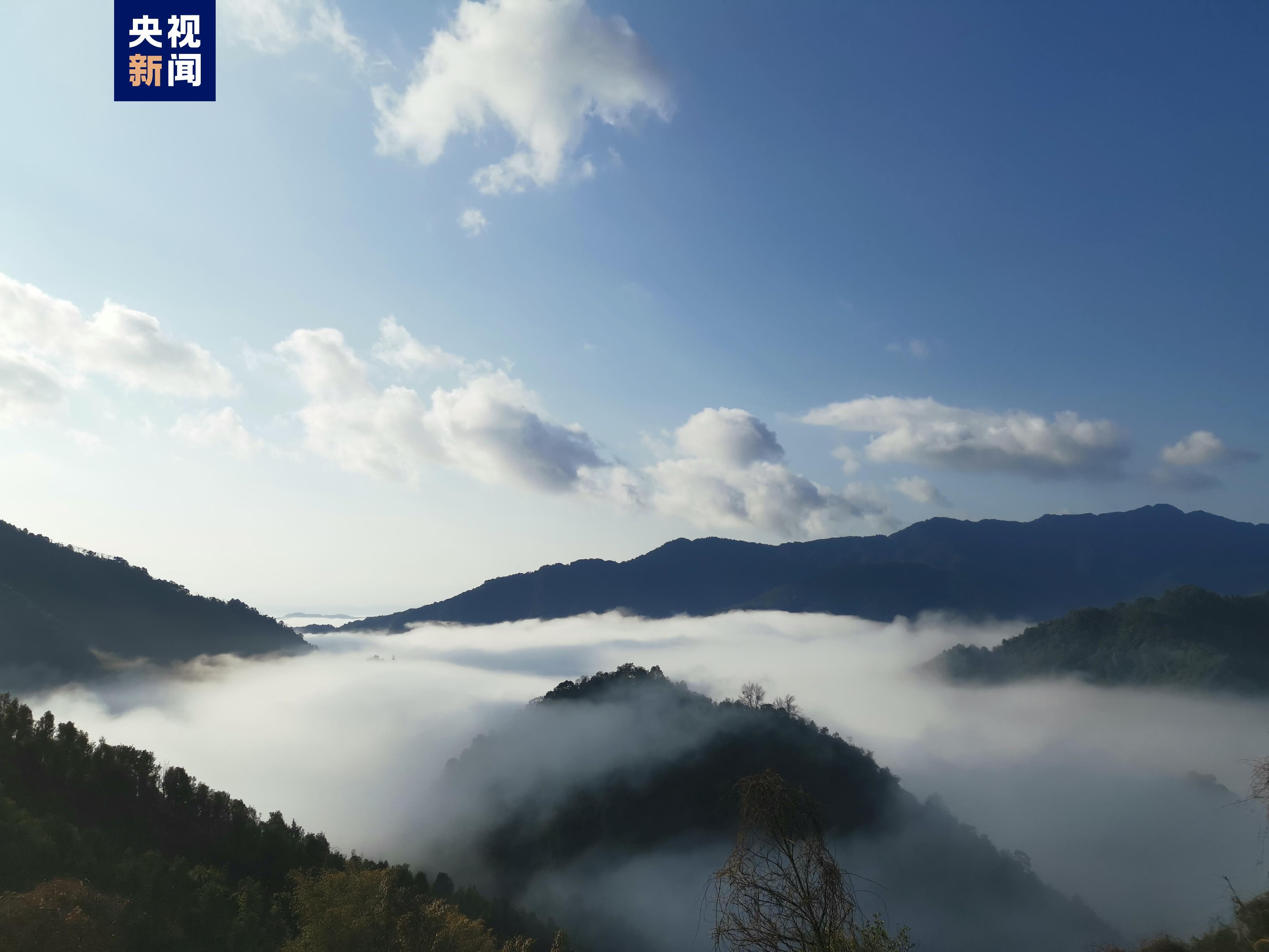 廣西百色右江區初春雲海美景似畫