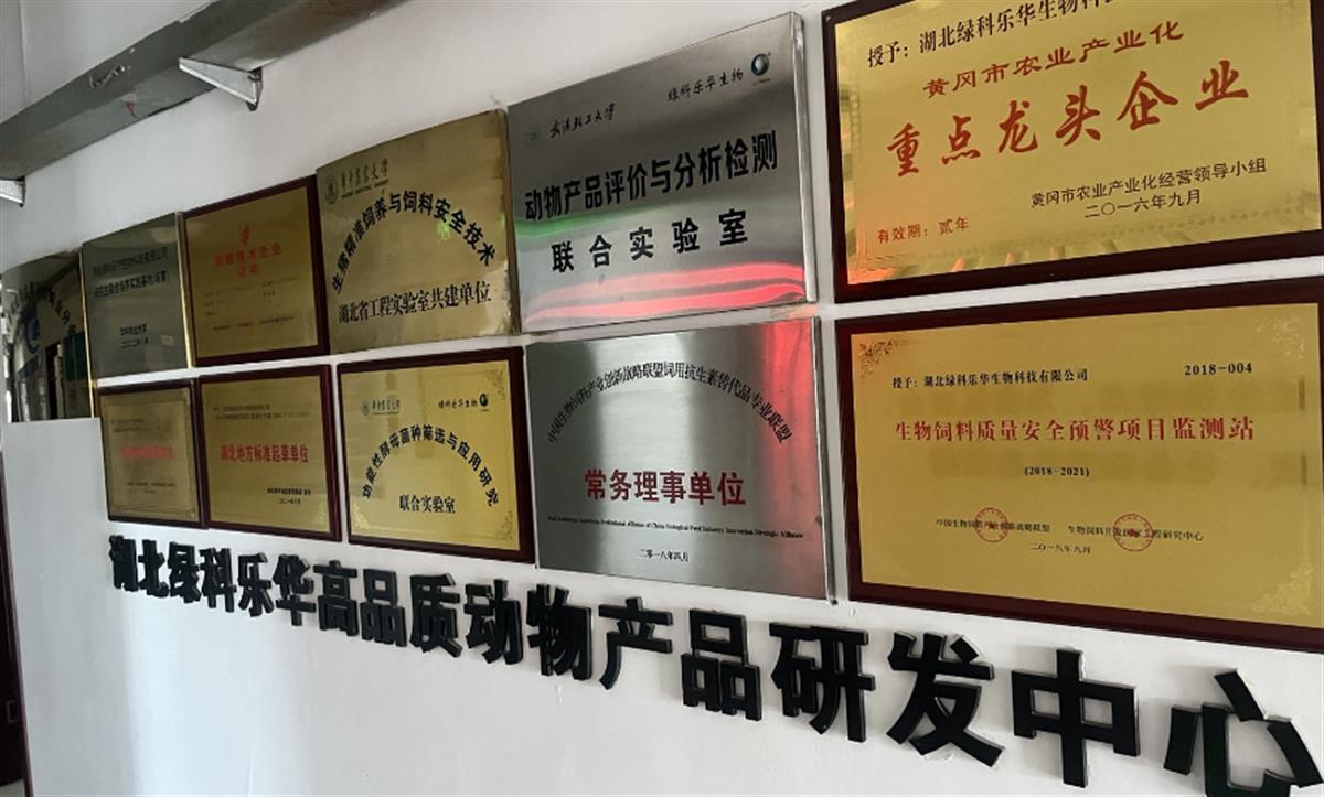 团风人才招聘动态:机遇与挑战并存