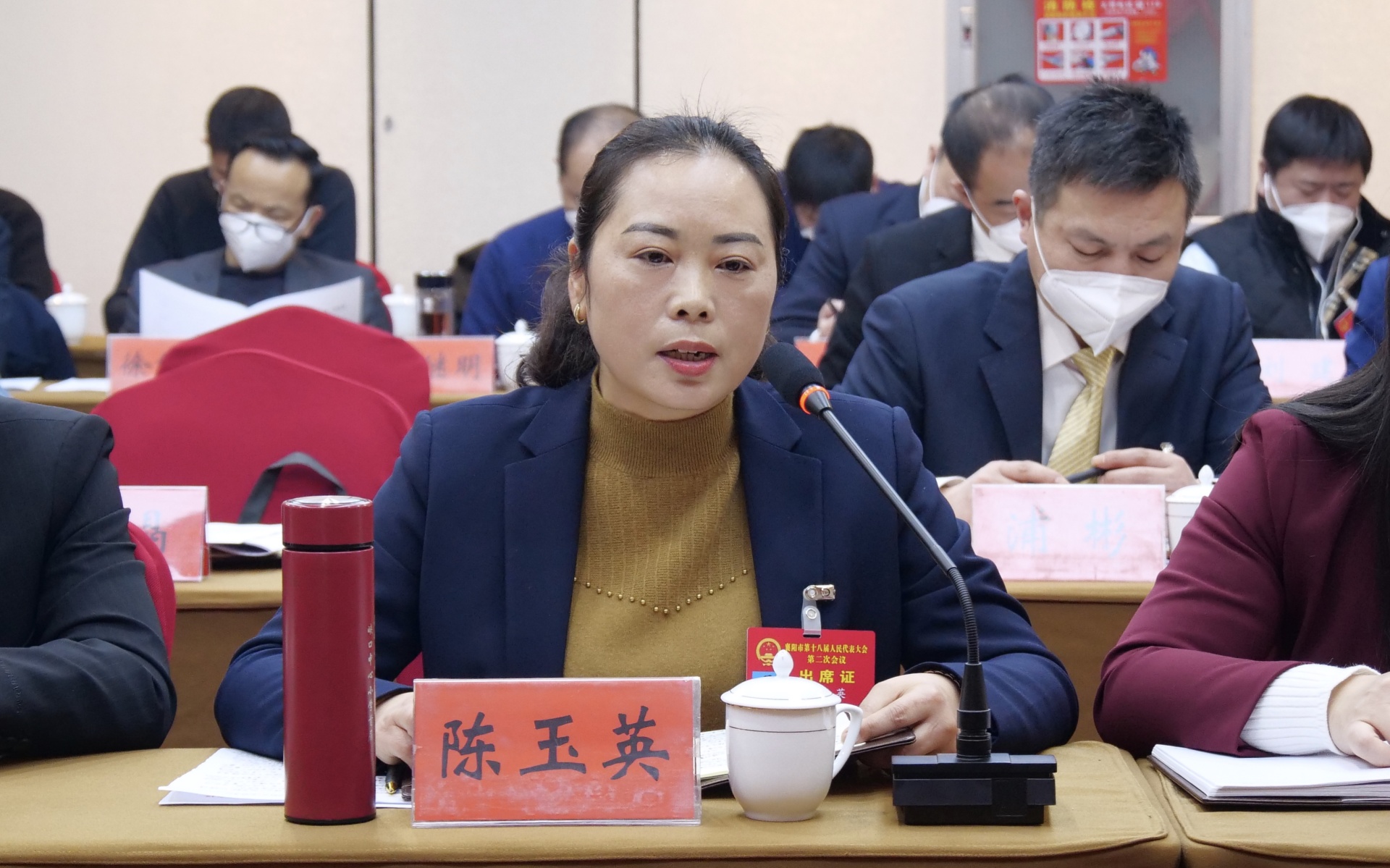 南漳陈玉英巾帼担当胜须眉