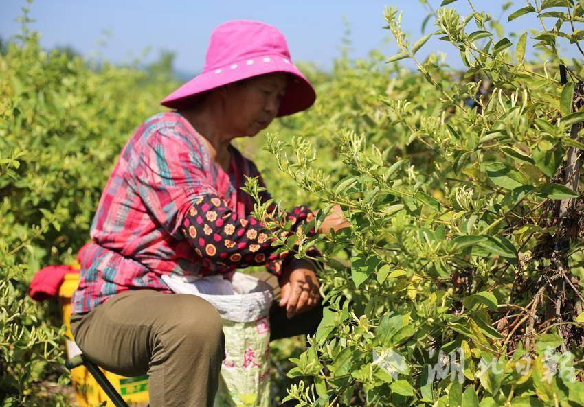 谷城庙滩女人图片