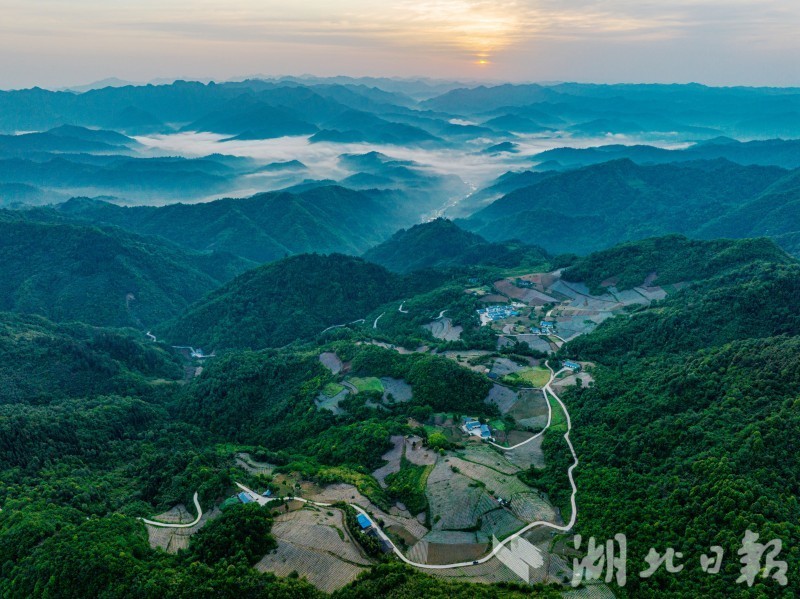 竹山大地寫詩行煙田美如畫