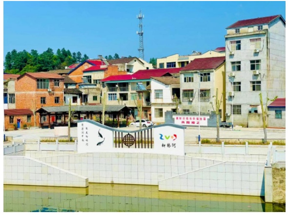 随县柳林镇:"口袋公园"装满居民"微幸福"