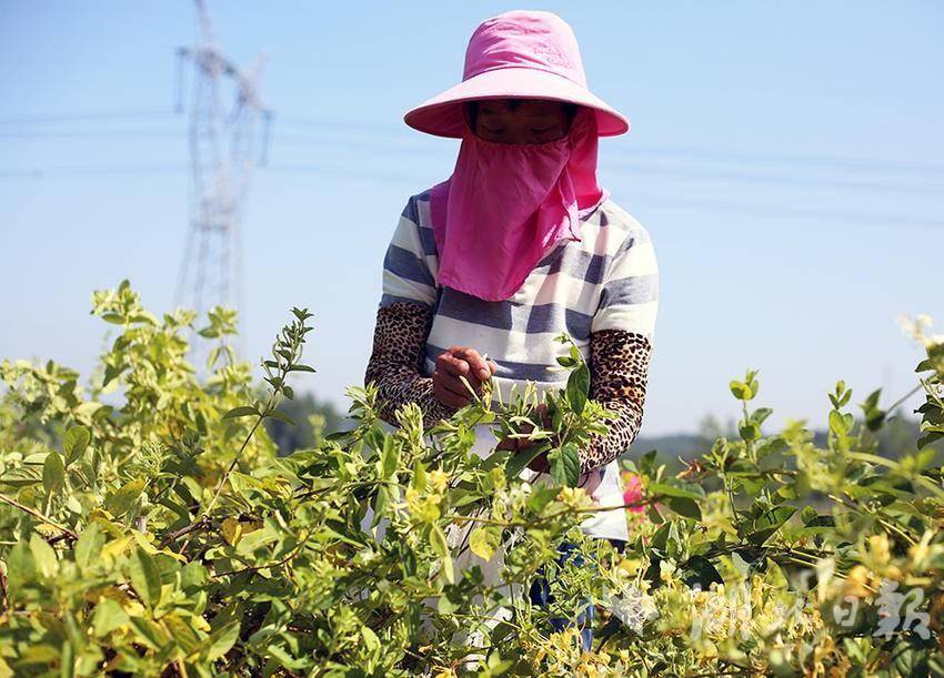 谷城庙滩女人图片