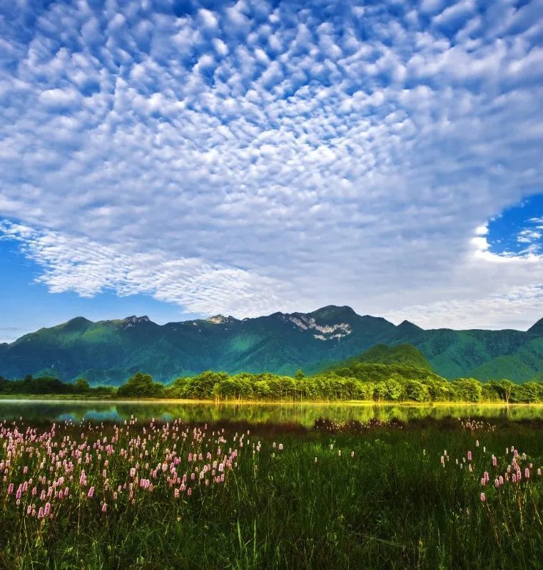 坐高铁游神农架和巴东五折