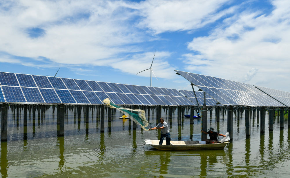 去年全国非化石能源发电量占比达362电力碳减排成效显著