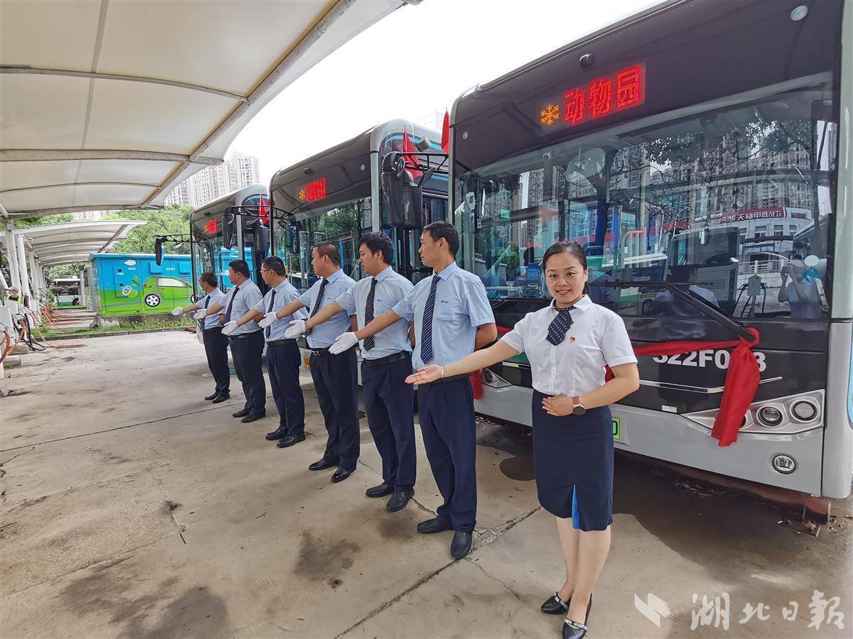 企业租赁汽车：长期租车策略的选择与优势分析