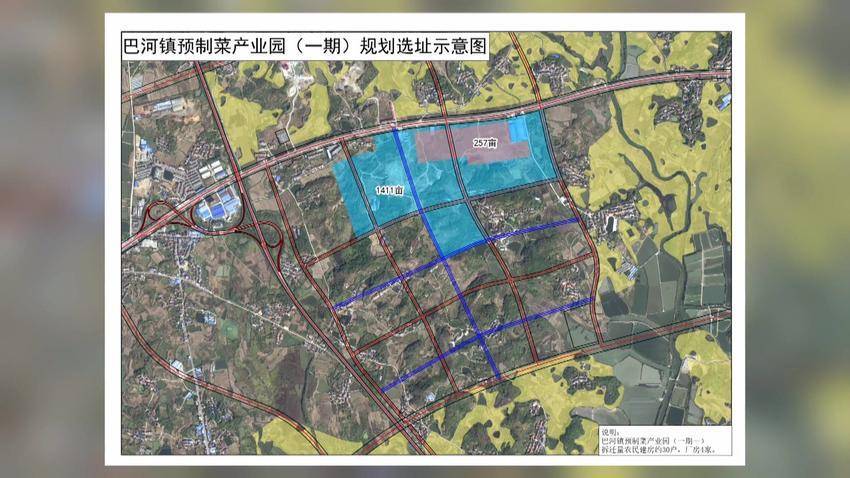 浠水县最新规划图图片