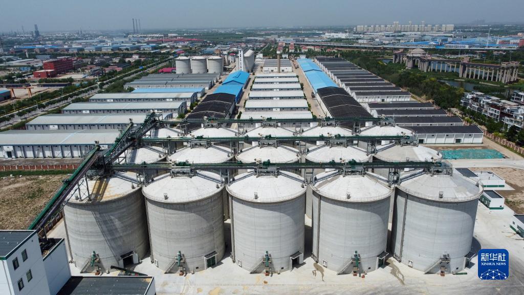天津现代化粮仓启用服务夏粮收储