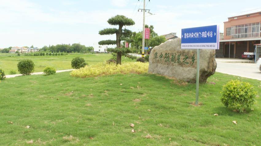 石首市高基庙镇人居环境整治见成效村民乐享幸福生活