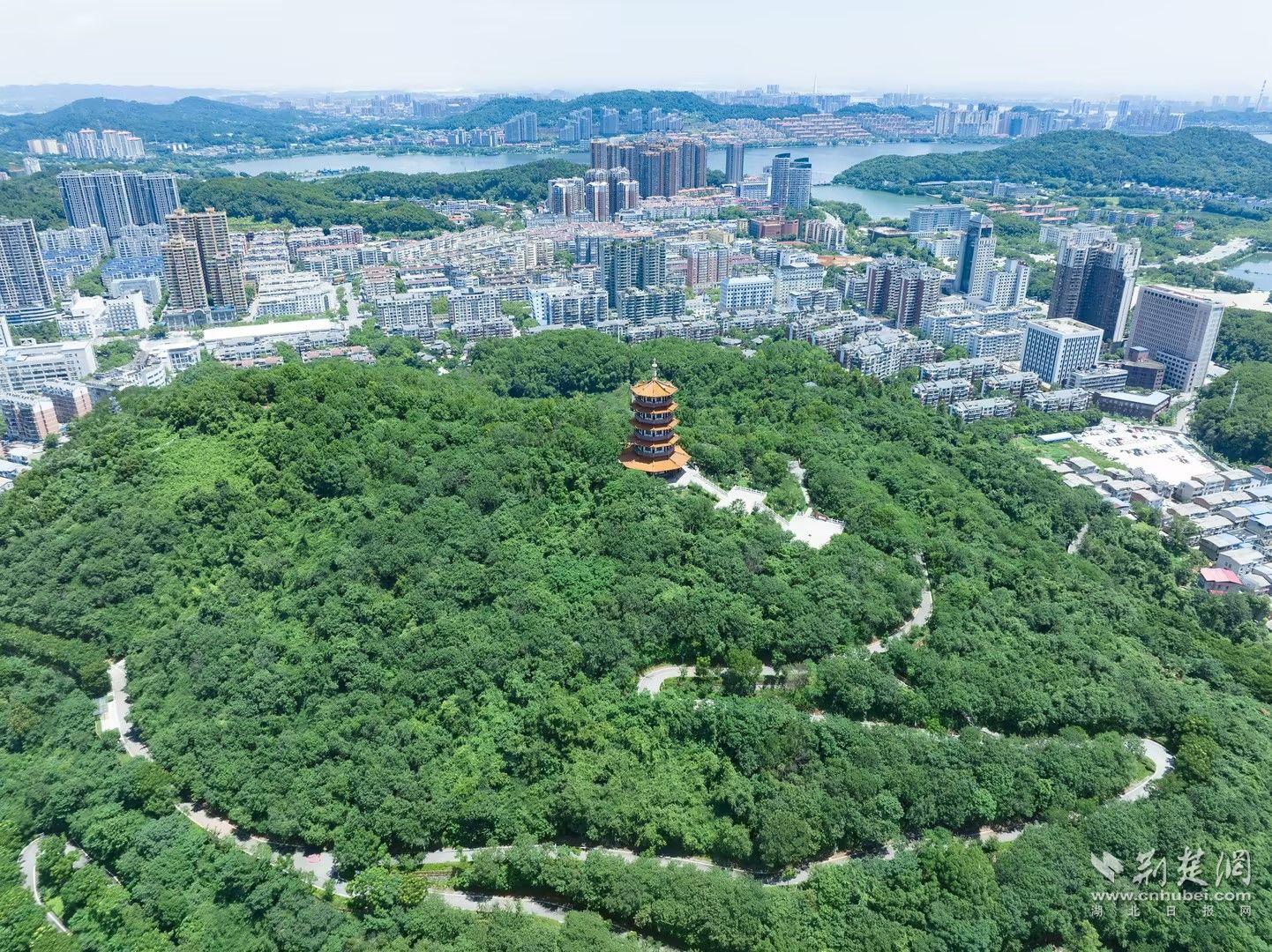 芜湖白马山公园规划图图片