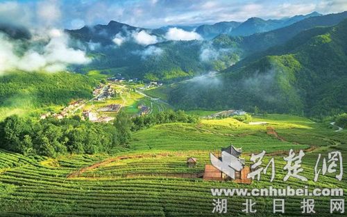 湖北房县入围2023中国候鸟旅养小城避暑百佳榜