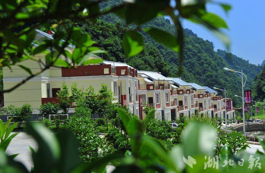 保康县马桥镇:夏赏荷花品美酒  高山避暑享清凉