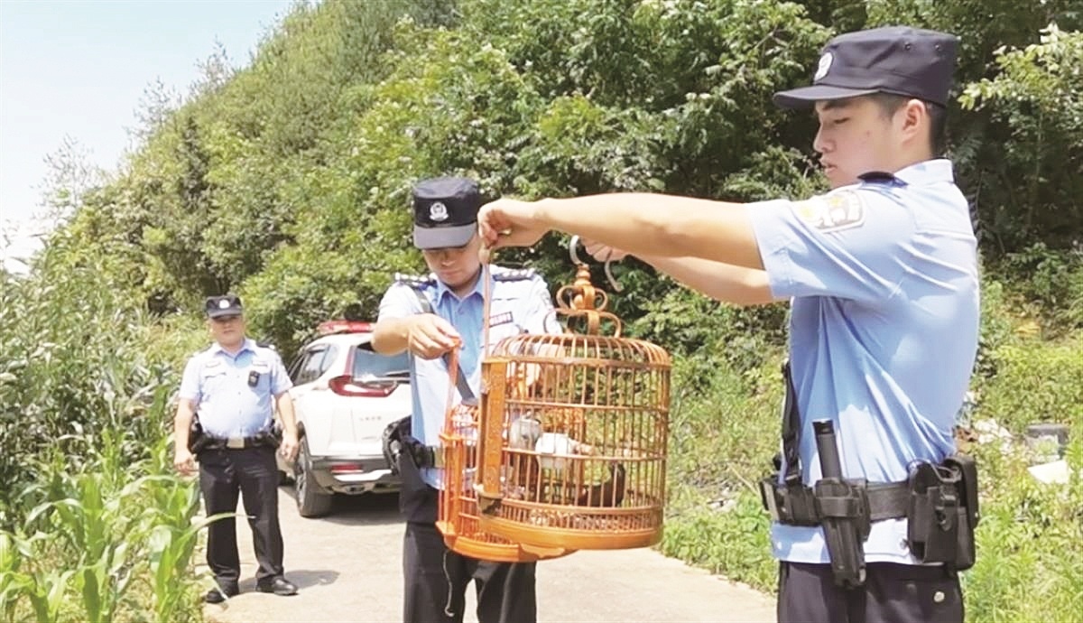 家中有鸟叫声民警上门抓了现行两男子诱捕画眉鸟被建始警方抓获