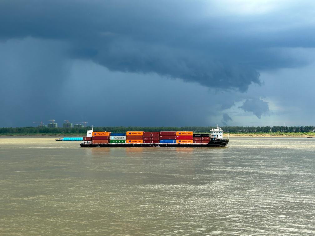新时代中国调研行长江篇丨水清岸绿江豚跃长江安徽段港口绿色发展观察