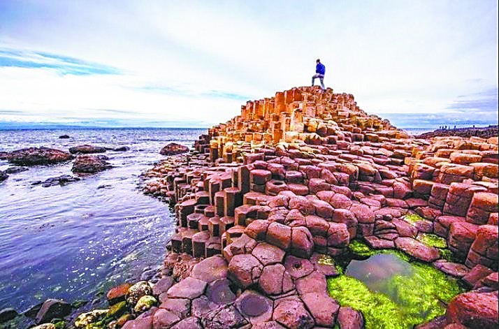 游客站在"巨人之路"上花园大道附近保护区的鸵鸟【环球时报驻德国特约