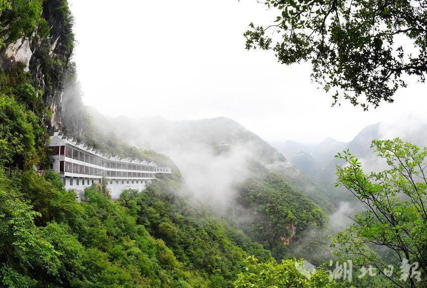 保康县马桥镇:夏赏荷花品美酒  高山避暑享清凉