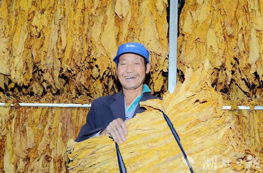 保康县马良镇特色产业富民助力乡村振兴